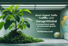 Boost Organic Traffic with Garage2Global